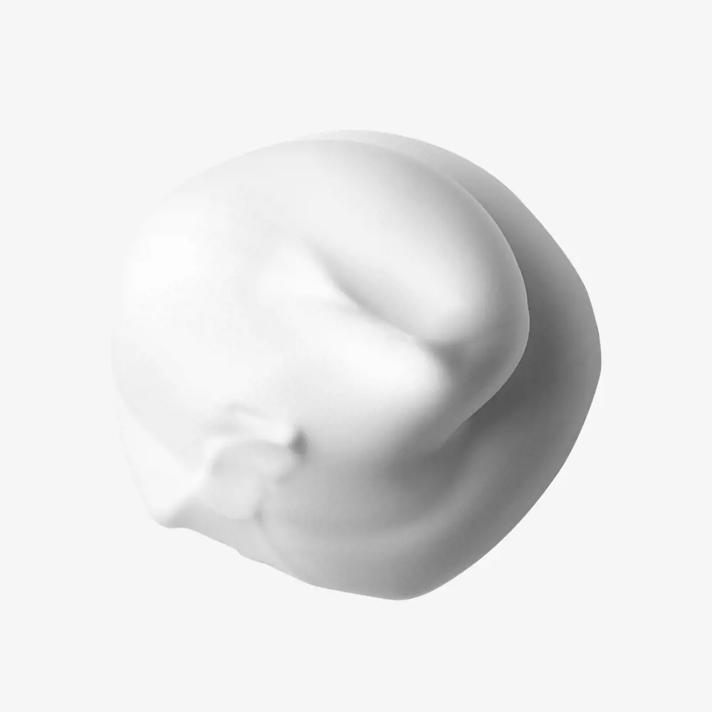 فوم اصلاح و شوینده صورت چند منظوره آقایان نورث فورمن - تصویر 2